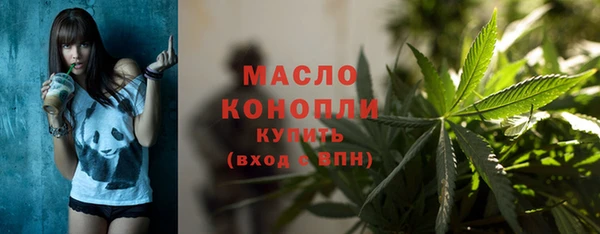 дмт Вяземский