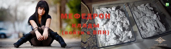 индика Осинники