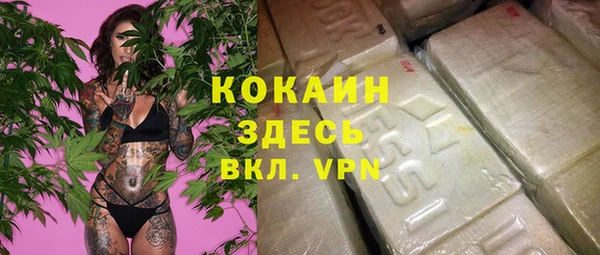 крисы Володарск