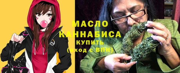 дмт Вяземский