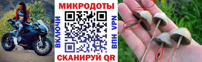 Псилоцибиновые грибы MAGIC MUSHROOMS  Купить где  Лыткарино 