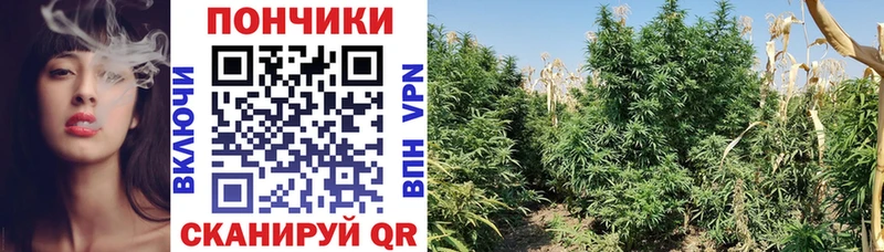 Канабис конопля  Купить где  Лыткарино 